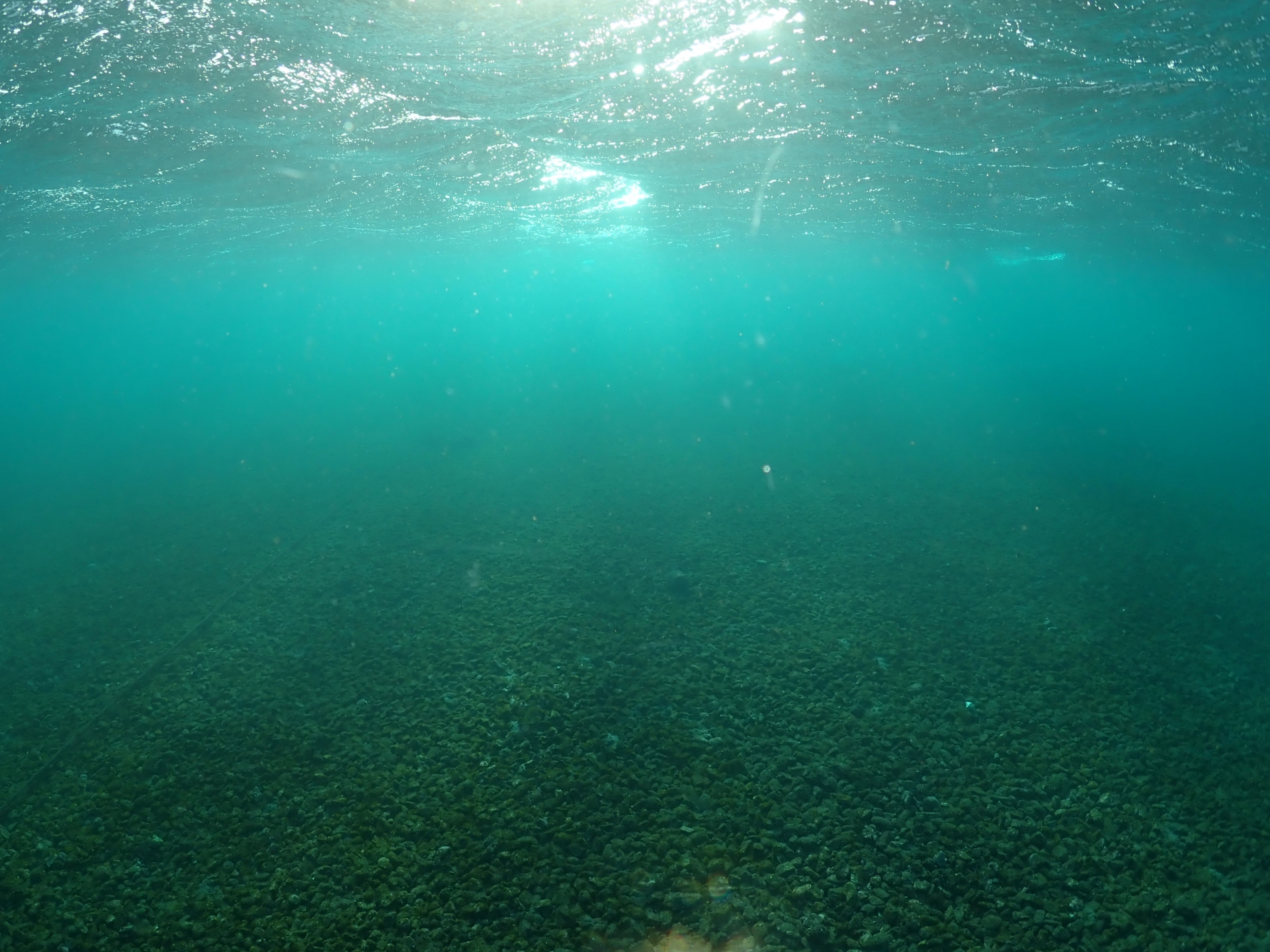 食事に悩む60代男性